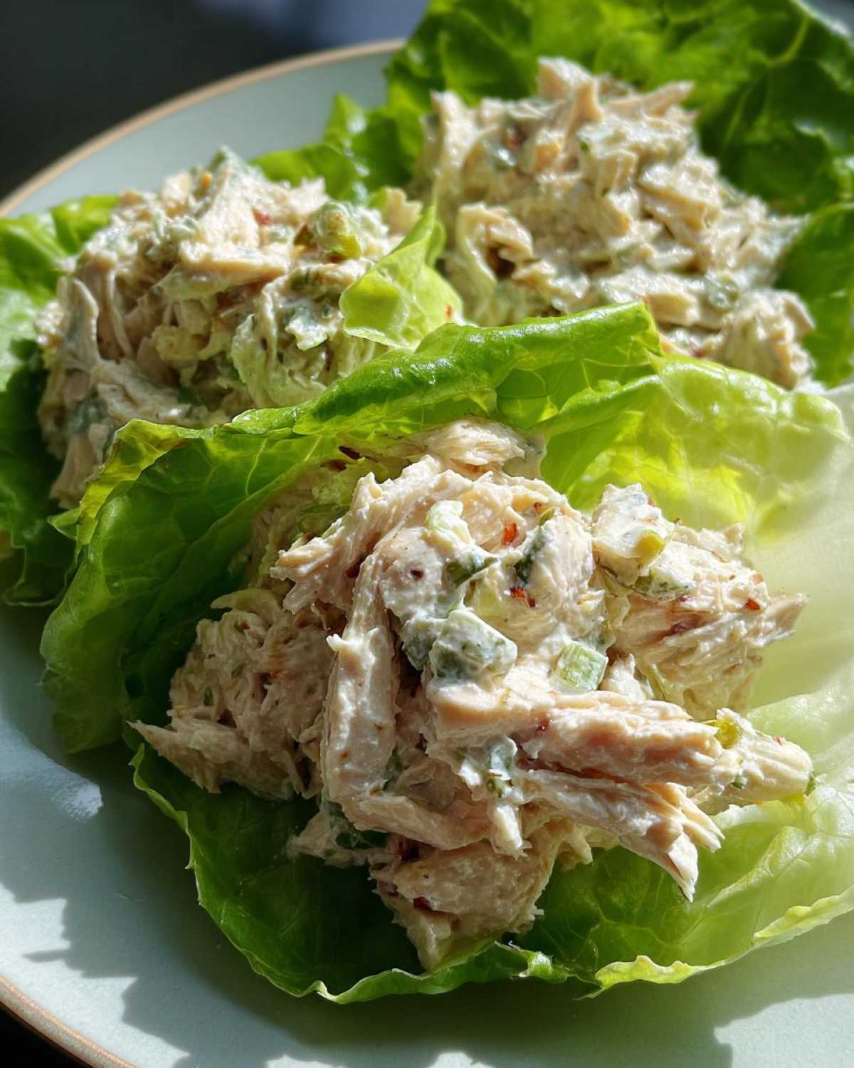 Kid-Friendly No-Cook Chicken Salad Lettuce Wraps - detail 3