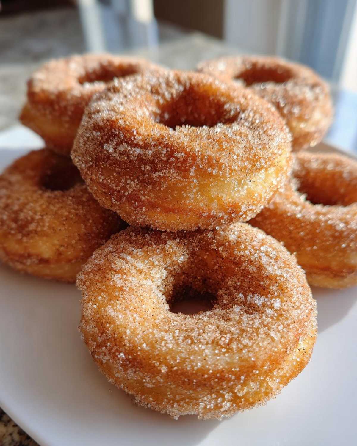 Air Fryer Cinnamon Sugar Donuts - detail 2