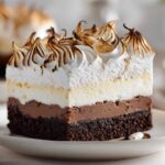 Baked Alaska Ice Cream Cake (Retro Dessert)