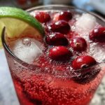Cranberry Ginger Fizz