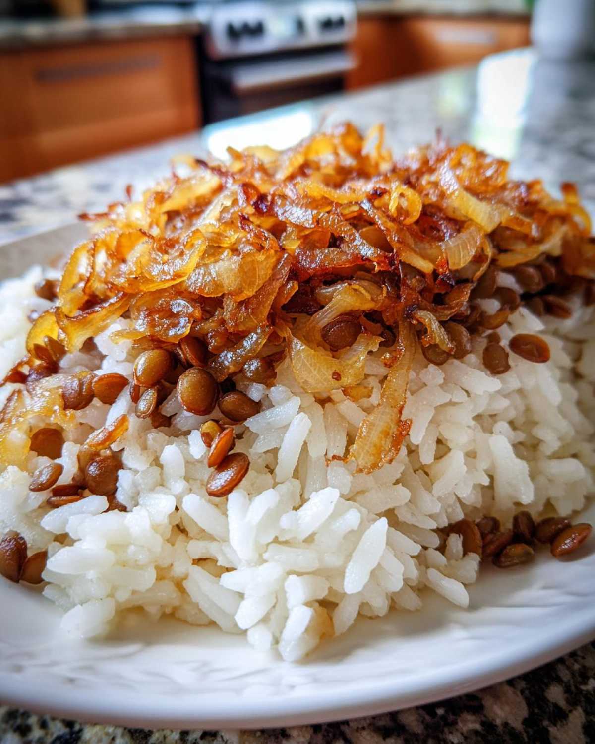 Lebanese Mujadara (Lentils and Rice) - detail 3
