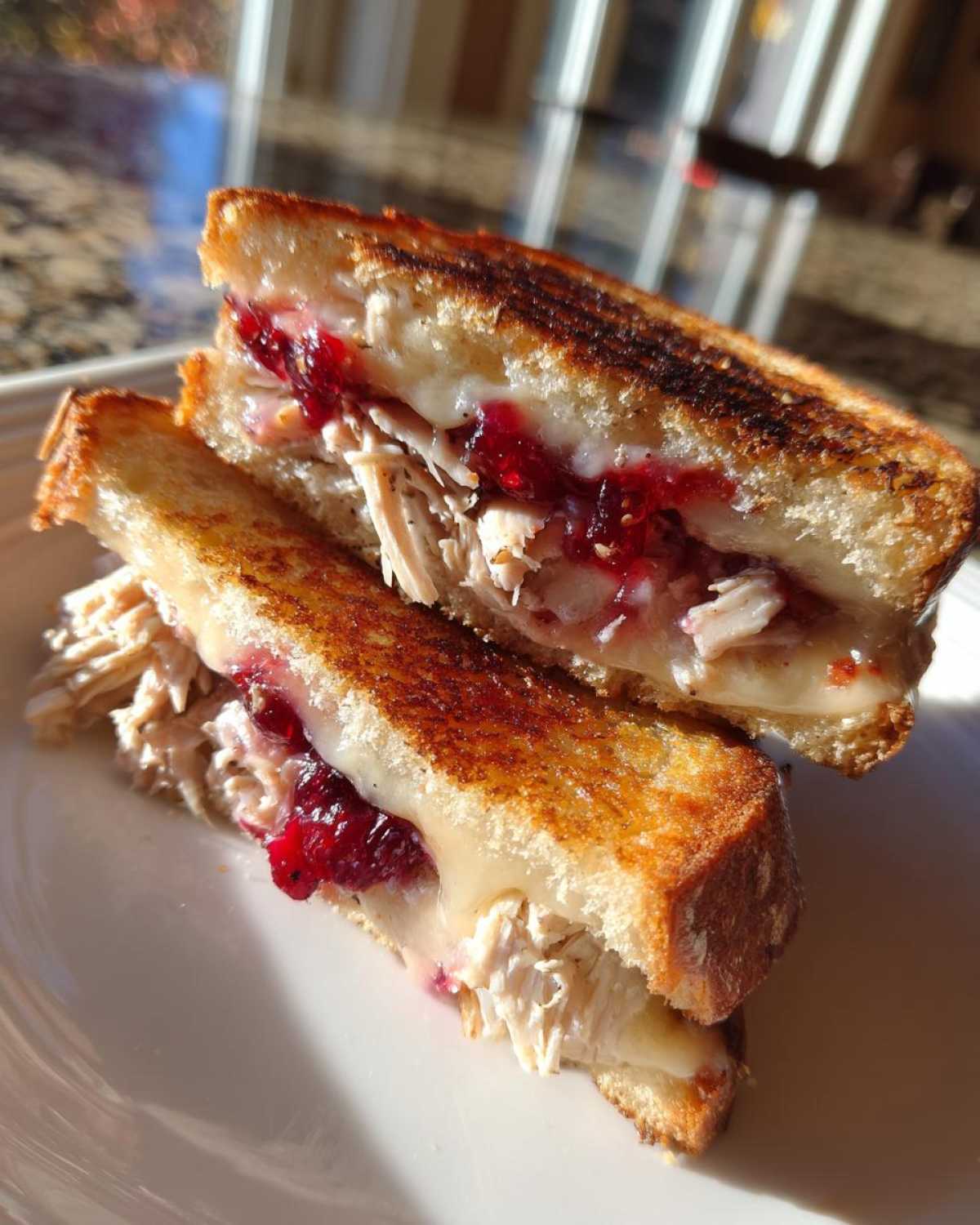 Leftover Turkey Cranberry Panini - detail 1