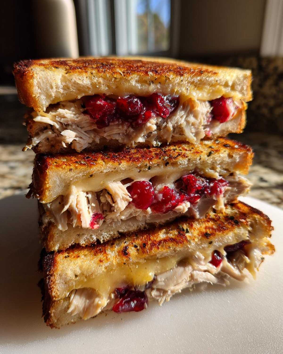 Leftover Turkey Cranberry Panini - detail 2