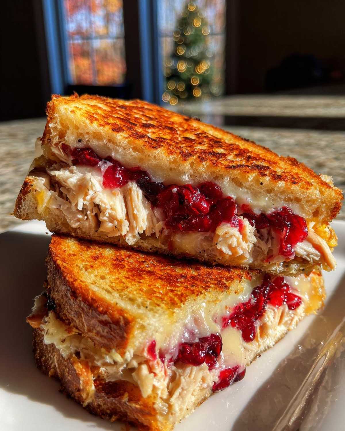 Leftover Turkey Cranberry Panini - detail 4
