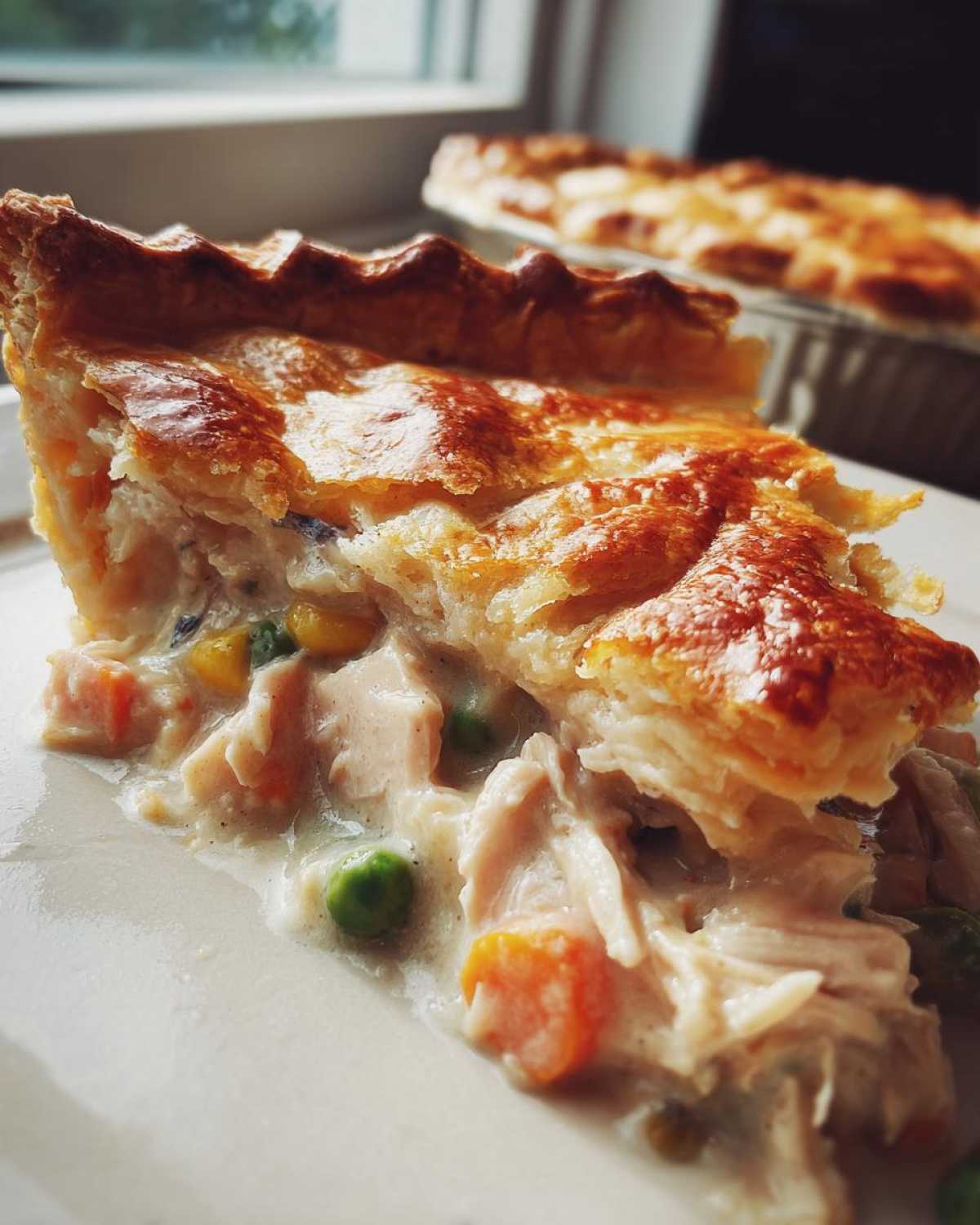Thanksgiving Leftover Turkey Pot Pie - detail 1