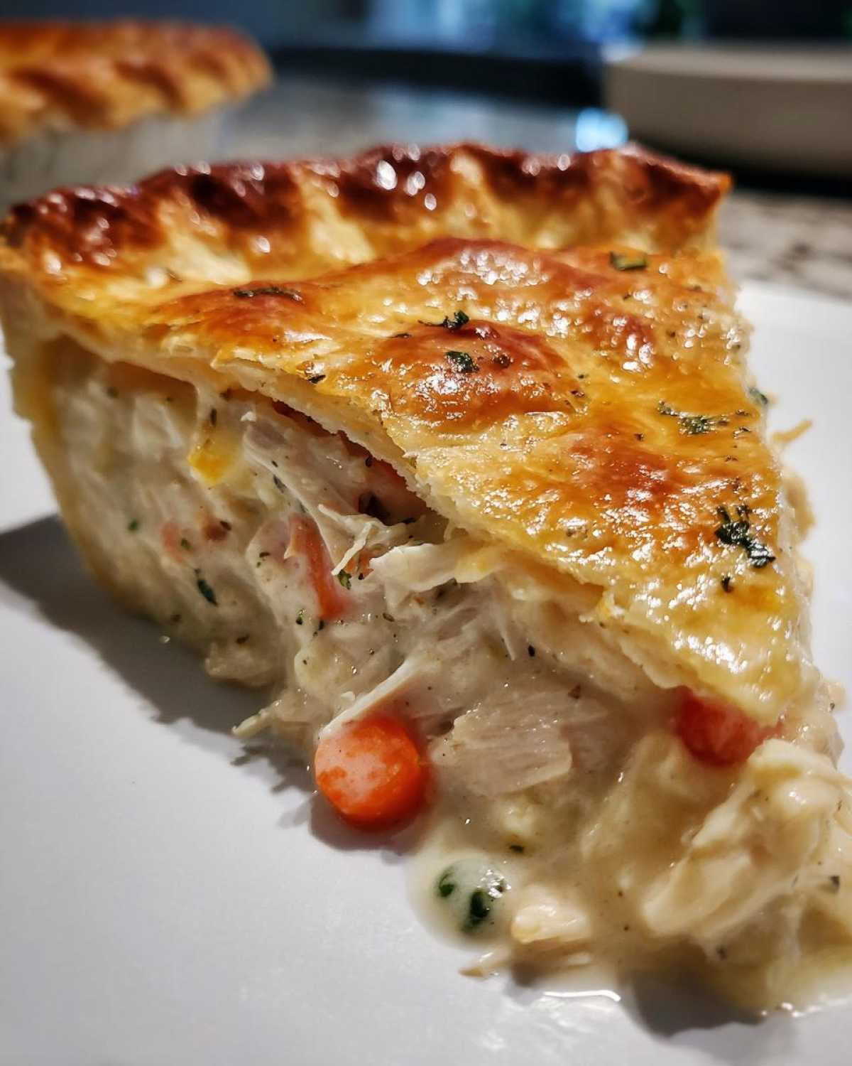Thanksgiving Leftover Turkey Pot Pie - detail 2