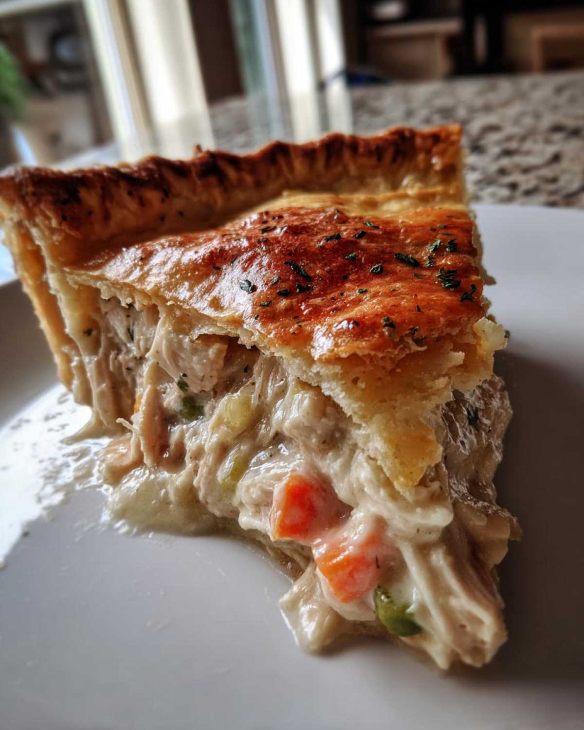 Thanksgiving Leftover Turkey Pot Pie - detail 4