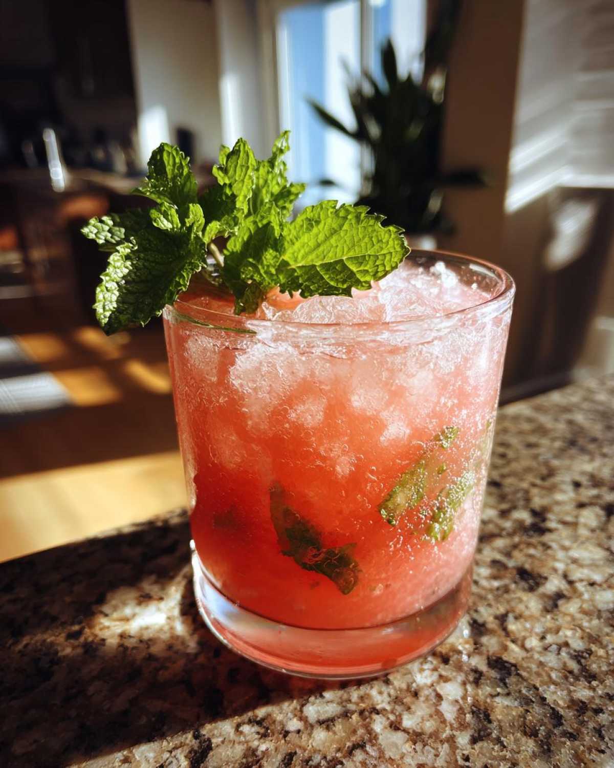 Watermelon Mint Agua Fresca - detail 2