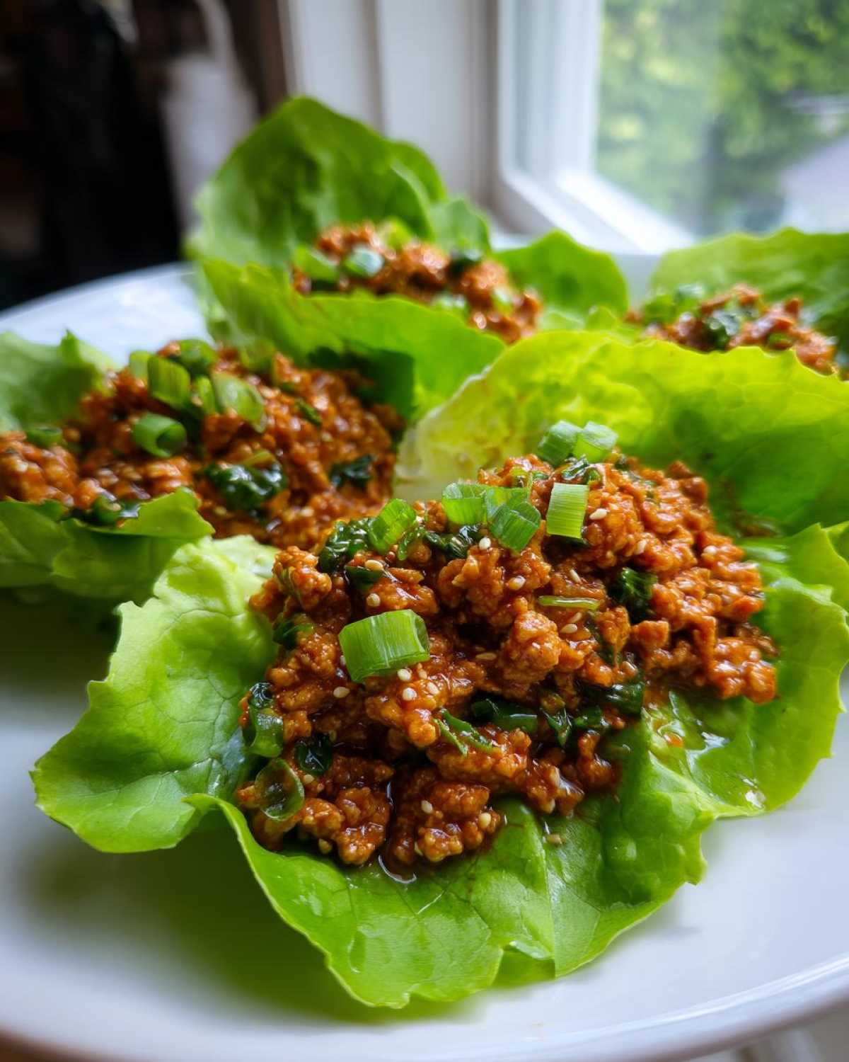 Teriyaki Turkey Lettuce Wraps - detail 1