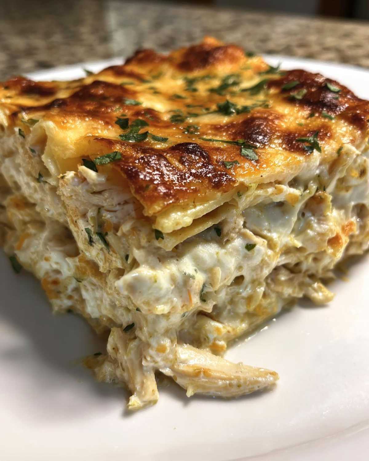 green chile chicken enchiladas - detail 4