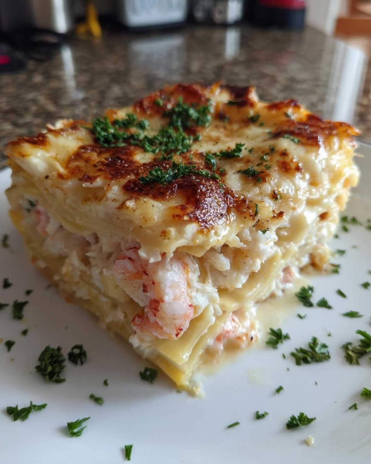 seafood lasagna - detail 1