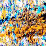 Abstract, highly stylized image featuring orange, yellow, blue, and white digital noise or texture, contextually related to pumpkin waffles.
