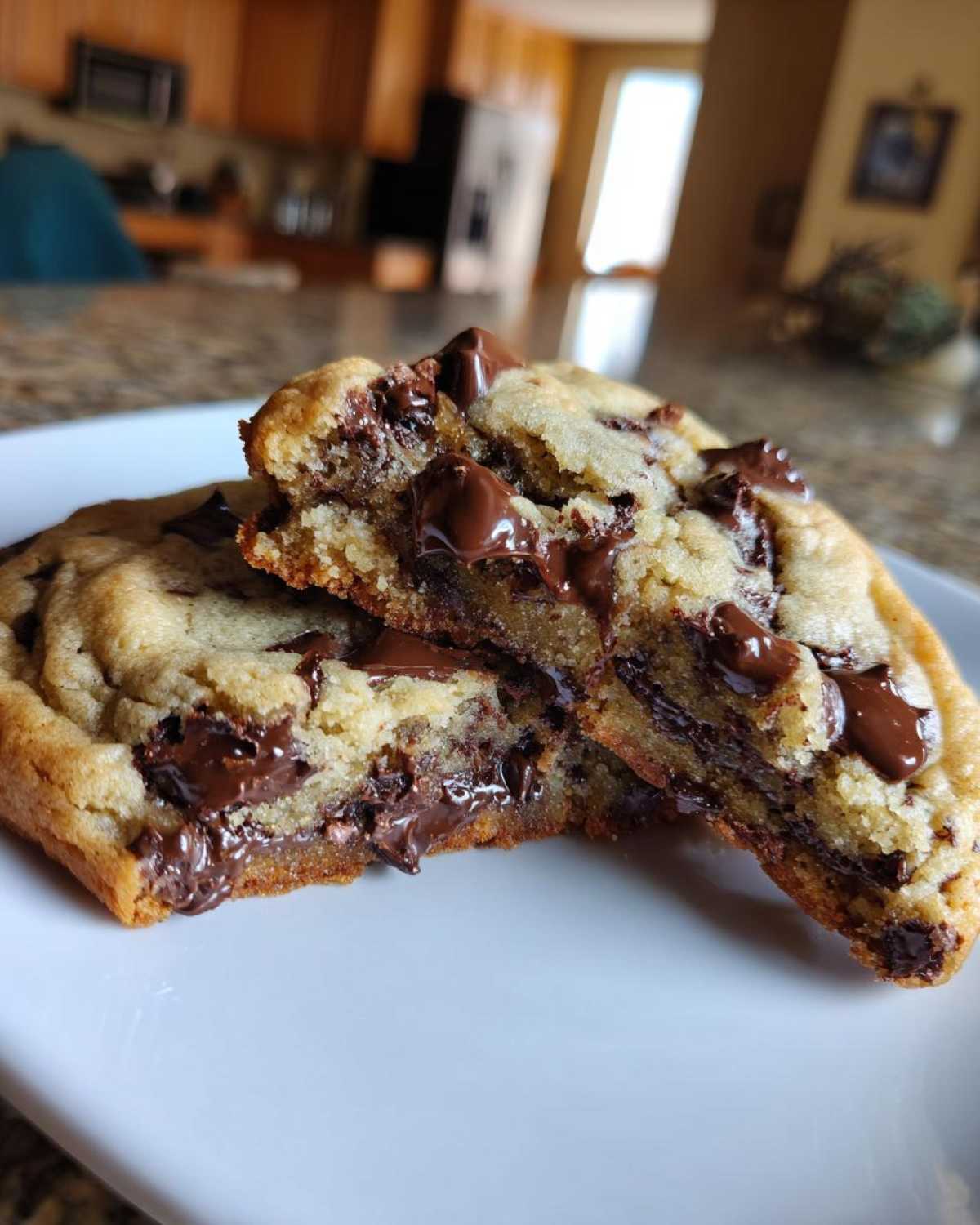 Close-up of homemade chocolate chip cookies broken in half showing melted chocolate chips inside.